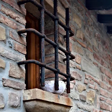 Casavolpi *